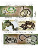 SNAKES Reptiles/Animals/Wildlife/Snake MNH 6v-Stamp Sheet #94 2024 Sierra Leone