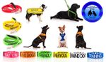 WARNING ALERT DOG COLLAR LEAD HARNESS COAT! AWARD WINNING PET PRODUCT! WHY WAIT?