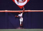 Cincinnati outfielder Glenn Braggs leaps v the wall at the Reds v - Old Photo