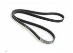 MK7 Fiesta ST ST180 Auxiliary Aux belt 1.6 Ecoboost Genuine Ford