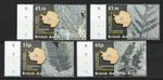 2008 BAT British Antarctic Territory Sc# 401-04 - Fossil Ferns. MNH Cv$16.00