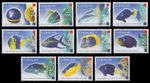 Curacao 2011 - Mi No. 3-13 ** - MNH - No "A Numbers" - Fish / Fish