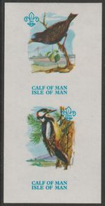 65913 - CALF of MAN 1973 BIRDS - STARLING & WOODPECKER imperf sheet of 2 mnh