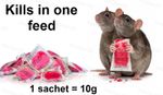 Rodent Rat Mouse Strong Killer Poison Pasta Bait Sachets Single Feed Kills Fast