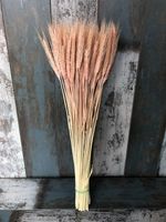 100 STEMS DRIED WHEAT/RYE BUNCH FLOWERS ARRANGING READY TO USE  PINK 20"