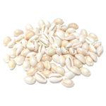 Natural Cowrie Shell Whole Approx 10x17mm Pack Of 50g