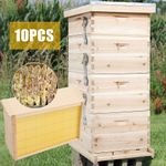 Langstroth Beehive Bee Super & Brood Nest Beekeeping Hive Frames and Foundation