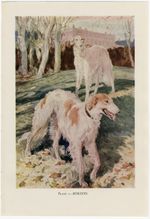 BORZOI VINTAGE 1930'S DOG ART PRINT