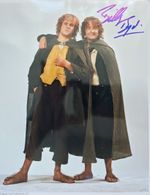 Billy Boyd Hand Signed A4 Photo Autograph Memorabilia Lord of the Rings
