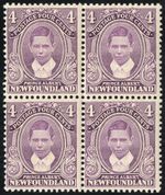 Newfoundland Stamps # 107 MNH Fresh Scott Value $280.00