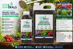 Hebridean Liquid Seaweed Organic Garden Fertiliser Natural Plant Feed FREE P&P