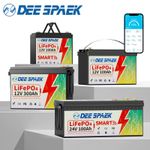 12V/24V 36/48V 100Ah 200Ah 300Ah LiFePO4 Lithium Battery Bluetooth BMS Solar RV