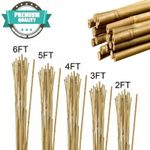 2ft 3ft 4ft 5ft 6ft Strong Bamboo Canes Heavy Duty Plant Stakes Thick Poles Cane