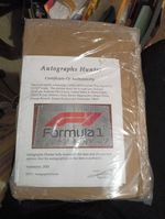 Formula 1 56x32 Flag Signed By  11 F1 Drivers With COA