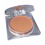 Technic Cosmetics Full Coverage Cream Balm Foundation 8.5g