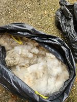 Alpaca Unprocessed Fleece.  Blanket Only. High Quality 1.3kg