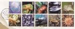 Sea Life GB Used Seal Middlesbrough 2007 ON PIECE (153860)