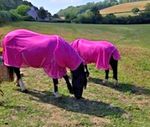 NEW BUG AWAY UV HORSE FLY RUGS FLY SHEET  VARIOUS COLOR WITH NECK ATTACHED SALE