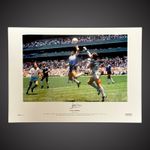 PETER SHILTON SIGNED PHOTO - 1986 WORLD CUP "HAND OF GOD A2 size COA £25