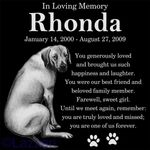 Personalized Rhodesian Ridgeback Dog Pet Memorial 12x12 Granite Grave Marker