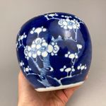 GOOD CHINESE PORCELAIN BLUE AND WHITE PRUNUS GINGER JAR KANGXI STYLE RING MARKS