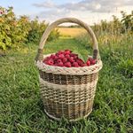 Tall Wicker Basket with Handle