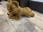 Steiff Brown Bear 10” lying down 