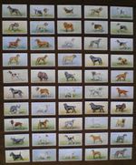 Full set of WILLS DOGS 1937 cigarette cards VG condition