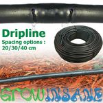 Drip Line Garden Irrigation Surface Pipe 13mm - 20/30/40cm Spacing 25m/50m /100m