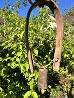Antique Primitive Hand Carved Bent Wood & Leather Sheep Goat Yoke Collar Bell