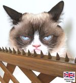 Wall Fence Top Spikes Strip Garden Security Intruder Bird Cat Burglar Anti-Climb