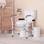 Freestanding Toilet Support Frame Auxiliary Safety Handrails