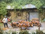 Vintage Britain’s farm Oxford Sandy And Black 5x Pigs & Handler, Repainted