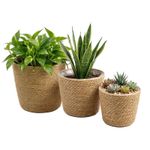Wicker Plant Pots Set of 3 Indoor Woven Seagrass Storage Baskets Rattan Planter