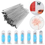 100pcs Insect Specimen Pins High Hardness Entomology Dissection Needles-UK