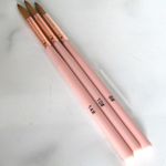 Acrylic Nail Brush Set 3pc BLUSH PINK Nail Art Brush Set Sizes 8 10 & 14 UK