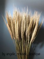 WINTER NATURA DRIED FLOWERS 100 STEMS BUNCH BOUQUET WHEAT WEDDING CRAFT 18"-20"