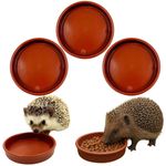 Hedgehog Bowl for Food and Water Hedge Hog Feeding Bowls Outdoor Pack of 3