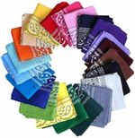 Assorted Pack OF 10 Cotton Bandanas Paisley Cowboy Scarf 22x22 inch
