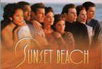 Sunset Beach TV Series 90s  Soap Opera - All 755 Episodes On USB (NOT DVD)