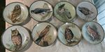 Majestic British Birds Of Prey Plates (Hamilton Collection, Malcolm Greensmith)