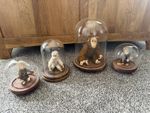 Vintage miniature monkeys in display domes