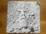 “Some day this will all be crumbling ruins" print by David Wojnarowicz