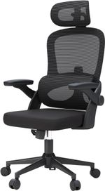 SIHOO M102C Ergonomic Office Chair, Office Chair with Up&Down Lumbar, High Back