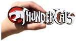 Decorative Thundercats Logo TV Show 3D Print 2 Sizes
