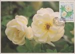 White Rose Centenary Of Organized Philately Finland Nordia FDC Maxi Card 1993