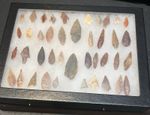 41 Neolithic Period Arrow Points 6,000 To 9,000 Years Old In A Riker Mount