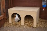 Wooden Guinea Pig Play House with Entrance Arches