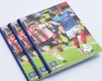 Portsmouth v Southampton - Sky Bet Championship - 25 January 2026 - Mint