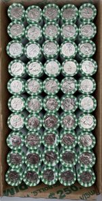 2026 -D Mint 1776-2026 Semiquincenntial DIME  (10 Rolls)